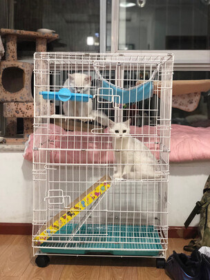 猫笼