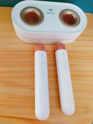 点歌机|纯麦K2好吗？图文评测曝光