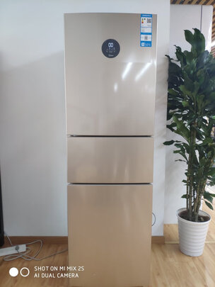 澳柯玛BCD-206NE冰箱用后两个月感受!新手求助内行解答