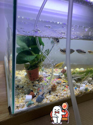 鱼缸氧气泵