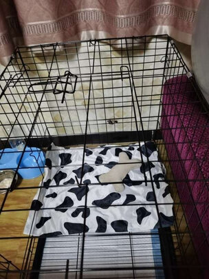  狗笼