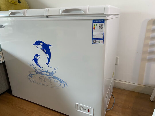 冰柜|澳柯玛BCD-203CNE冰柜怎么样？亲身体验告知你实情！