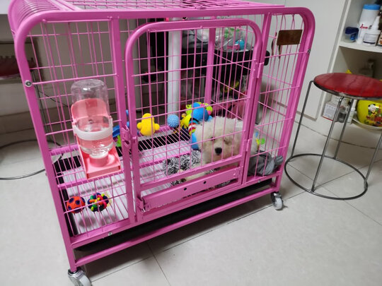 宠物水壶