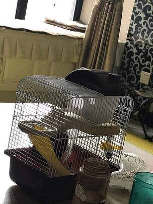 仓鼠跑轮