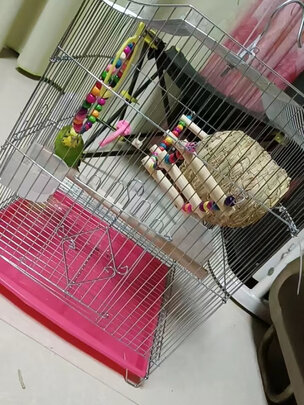 鸟笼