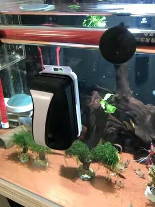 鱼缸刷磁力刷