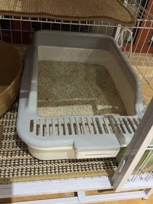 猫砂铲