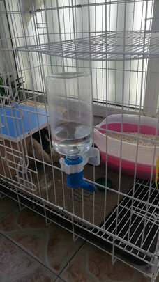 宠物水壶