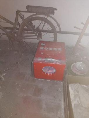 狗窝