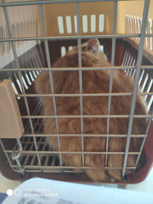 猫包