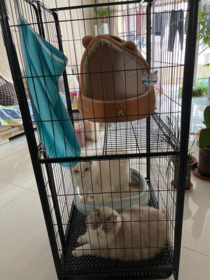  猫笼