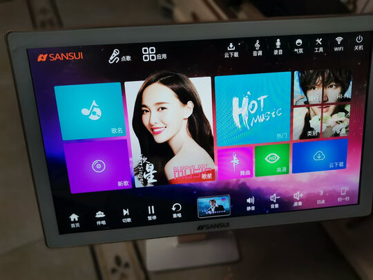 山水（SANSUI）H15 家庭ktv音响套装 家庭影院ktv点歌机一体机 音响家用功放机 卡拉ok 尊享版 升级套装+22英寸高清点歌机（3T）