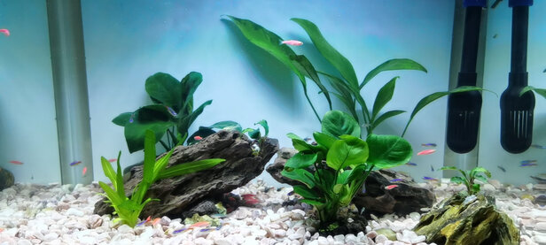 鱼缸潜水泵