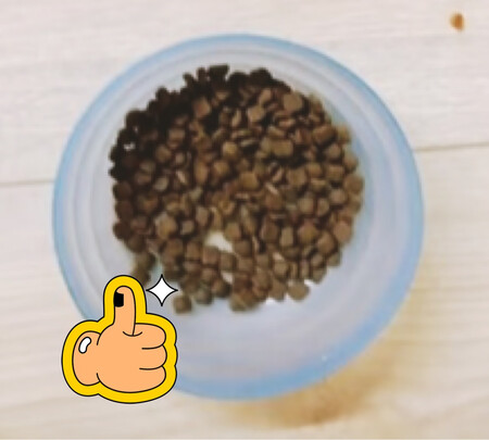 猫粮