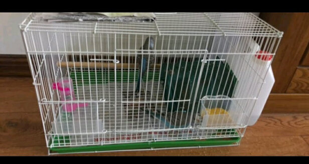 鸟笼