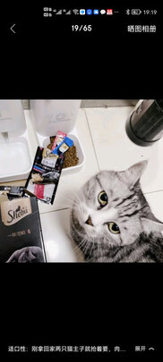 猫条猫零食