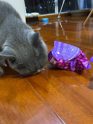猫罐头