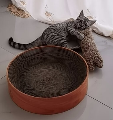 猫玩具