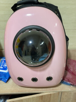 宠物包