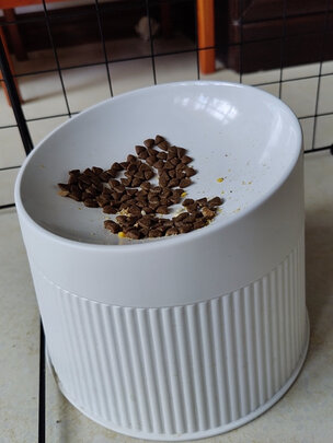 猫碗狗碗