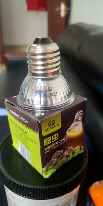 乌龟晒背灯泡