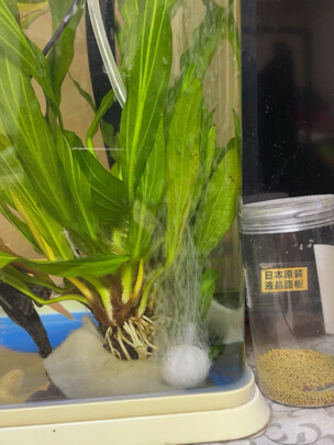 鱼缸氧气泵
