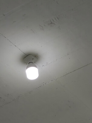 led灯泡
