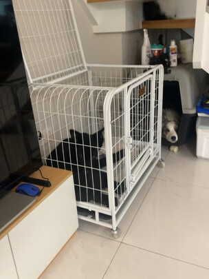 狗笼