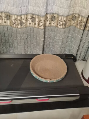 猫抓板