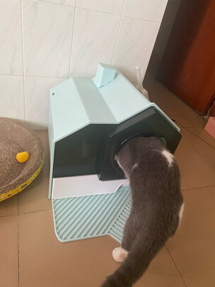 猫砂铲
