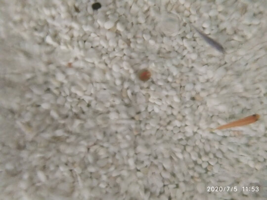 鱼缸造景石头