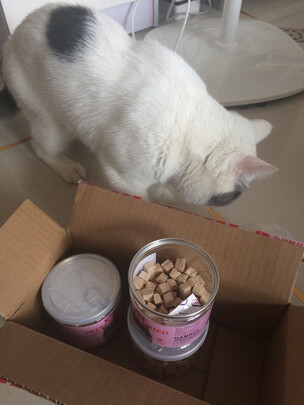 猫零食