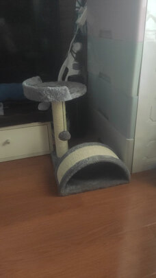 猫爬架