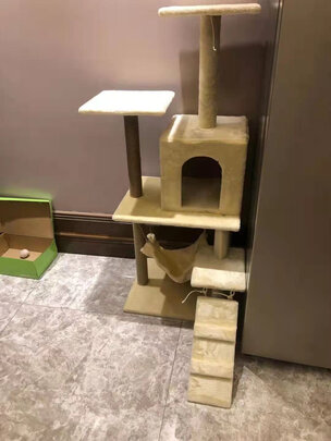 猫爬架