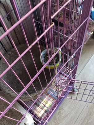 猫粮