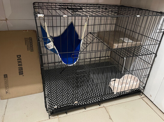猫笼