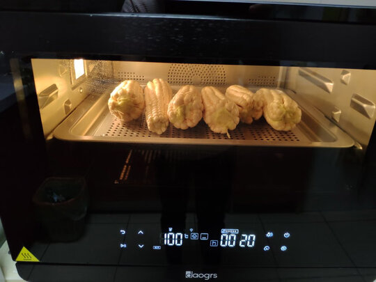 daogrsG3蒸烤箱|意大利G3蒸烤箱怎么样讲一讲体验真实感受