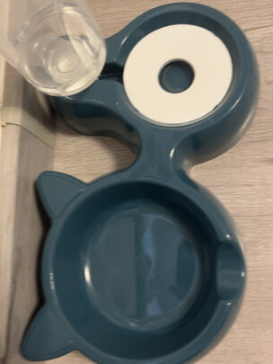 猫碗狗碗