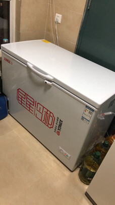 冰箱|星星BD/BC-305E到底怎么样，参数如何！