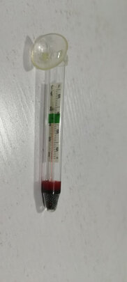 鱼缸温度计