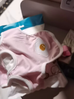 狗狗生理裤