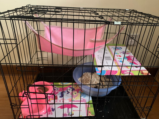  猫笼