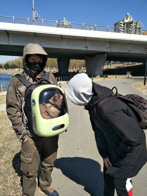 宠物航空箱