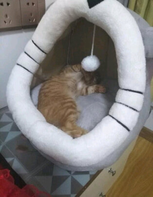 猫窝
