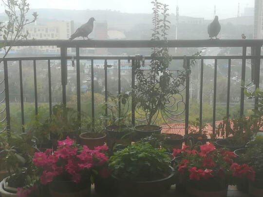 圈厨洗碗机|知乎问答：圈厨洗碗机怎么样？用后一周说体验感受