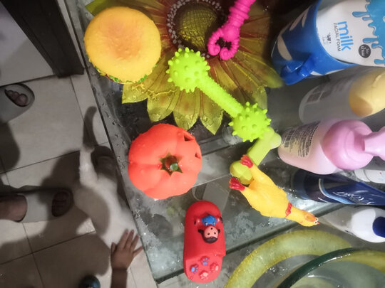 狗狗玩具