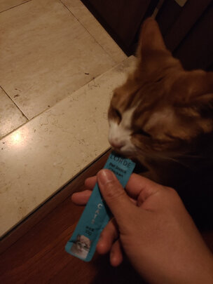 猫条猫零食