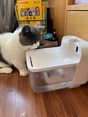 宠物饮水机