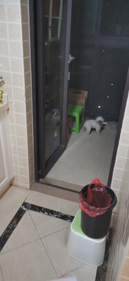 狗粮