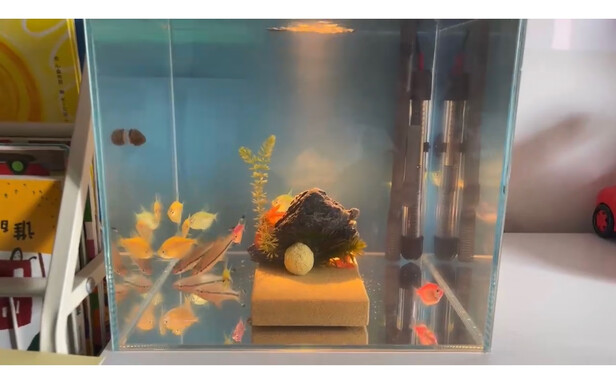 鱼缸射灯